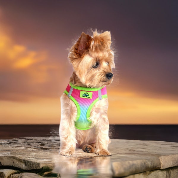 Doggie Design-American River Choke-Free Dog Harness - Rainbow Ombre