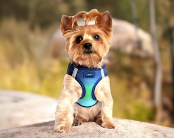 American River Choke Free Dog Harness Ombre Collection - Northern Lights 60956