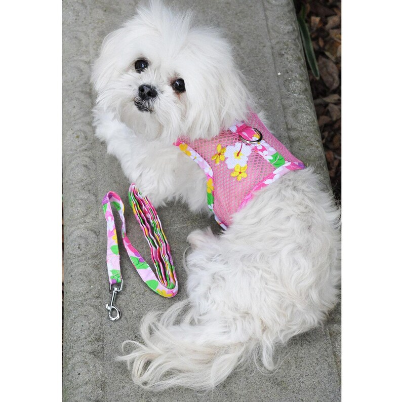 Cool Mesh Dog Harness With Leash by Doggie Design Pink Etsy