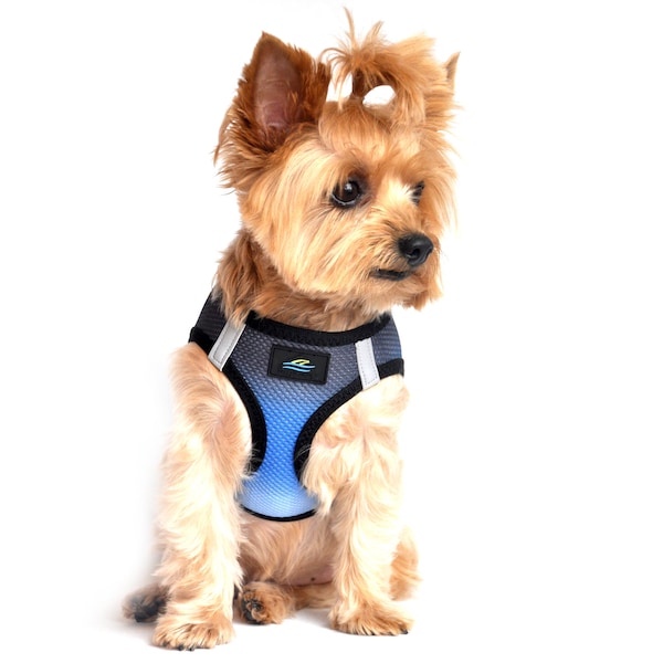 American River Choke Free Dog Harness Ombre Collection - Midnight Sky 60958