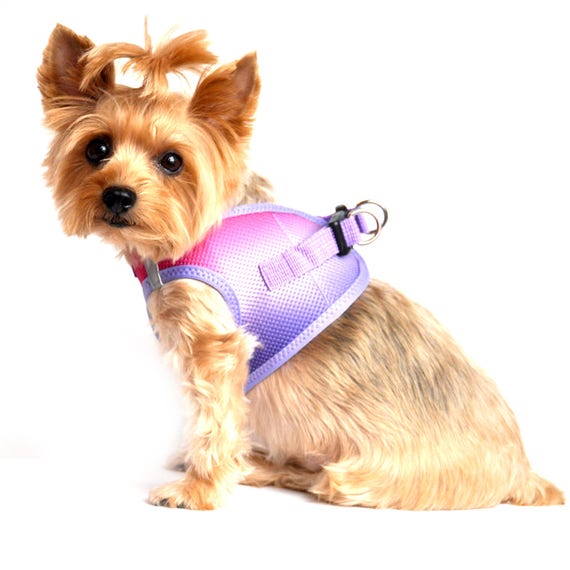 Doggie Design american River Choke free Dog Harness Raspberry