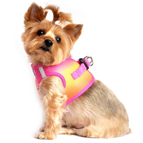 American River Ultra Choke-Free Mesh Dog Harness by Doggie Design