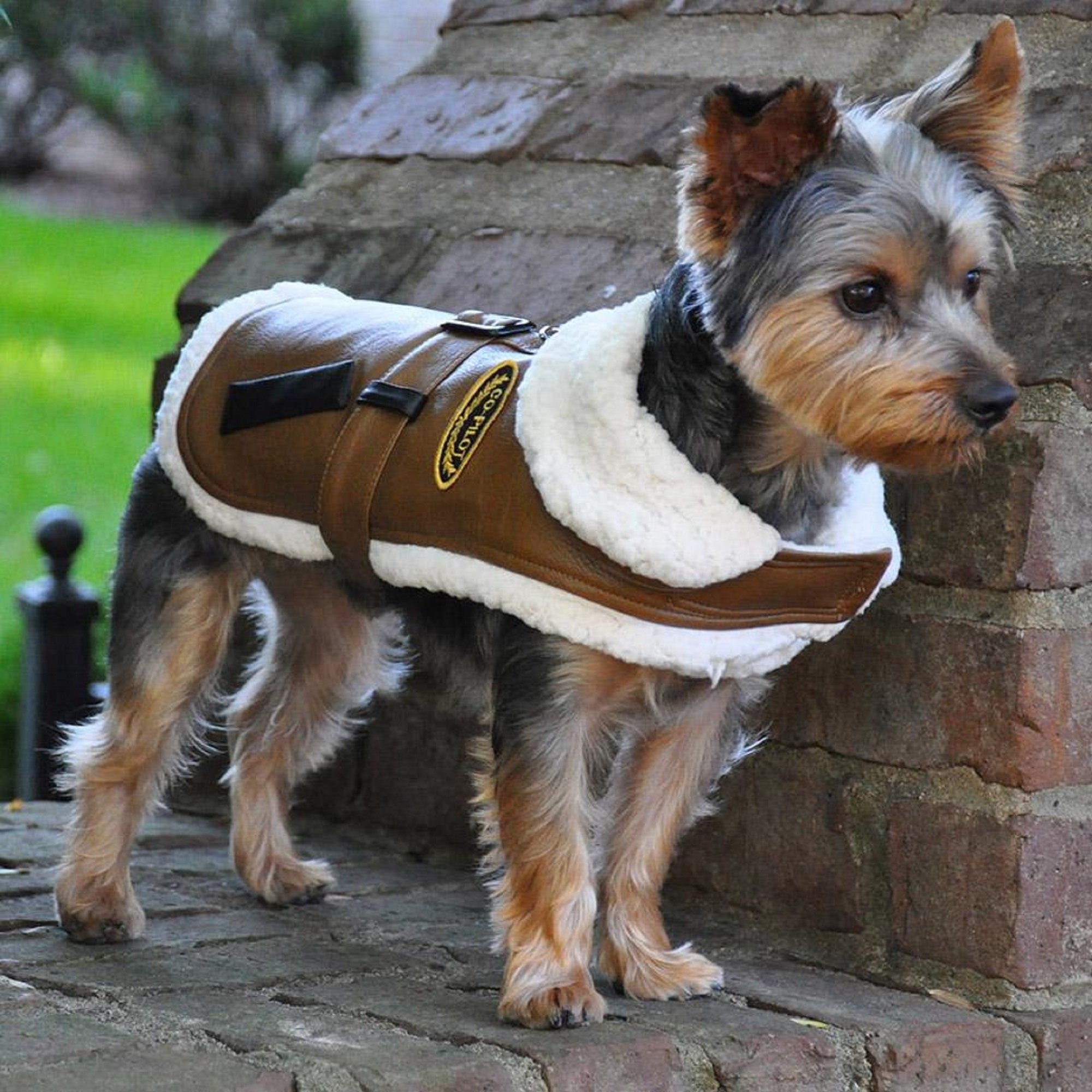 BROWN FAUX FUR CHEWY VUITTON DOG COAT