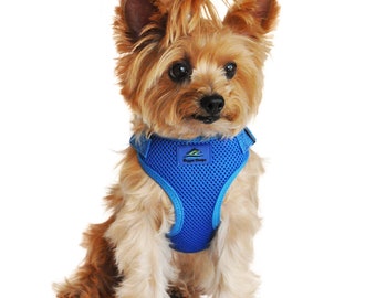 Wrap and Snap Choke Free Dog Harness - Cobalt Blue  PRS# 63328