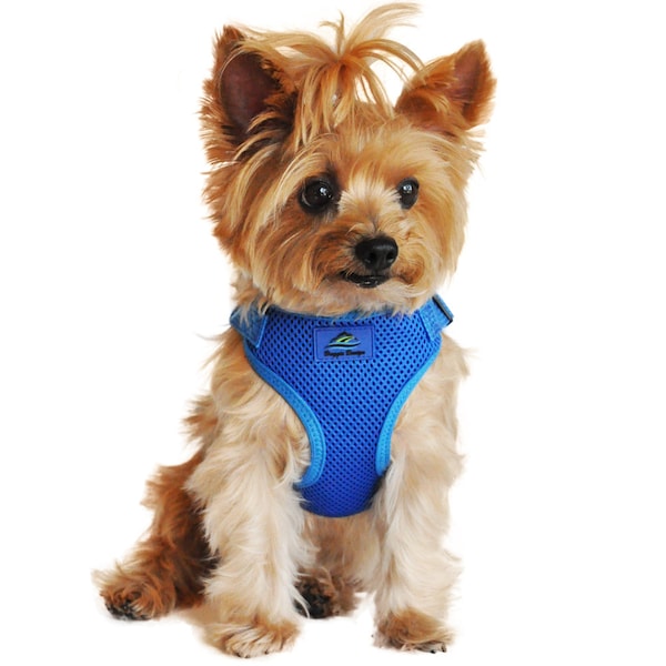 Wrap and Snap Choke Free Dog Harness - Cobalt Blue  PRS# 63328