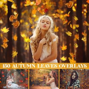 Autumn leaves overlay, falling leaves overlay for Photoshop, fall leaves overlays, autumn leaf overlays, Transparent PNG, photo prop