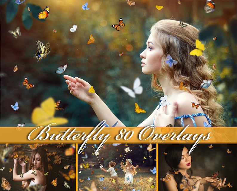 Butterfly Overlay Overlays Flying Butterflies Etsy