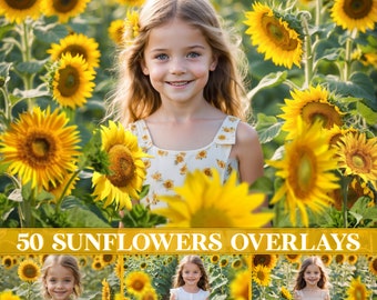 Sunflower overlays, summer flower Photoshop overlay, sunflower field, wildflower overlays, yellow flower overlays, photography sunflower