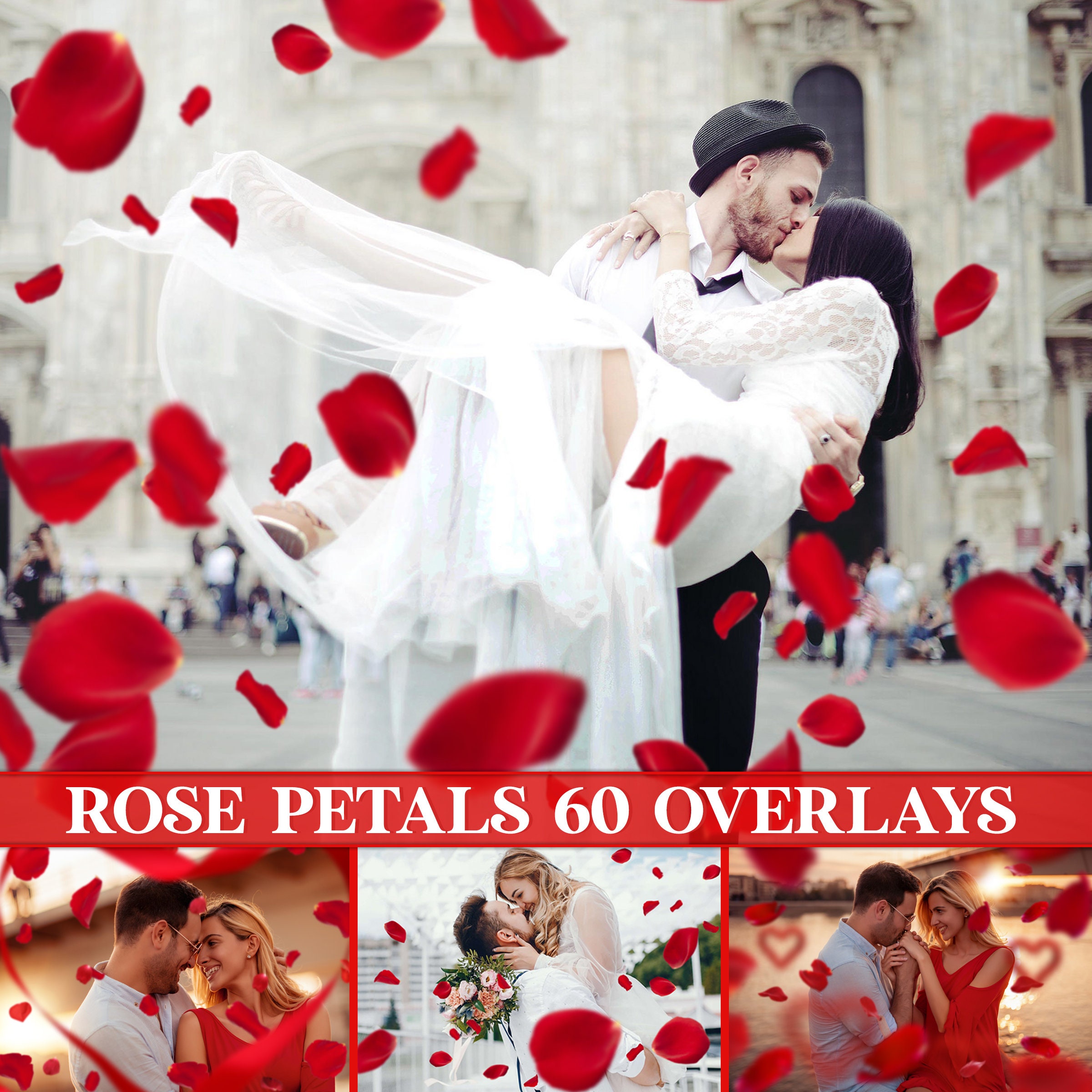 LUXE, Falling Rose Petals Photo Overlays