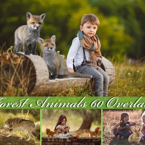 Forest animals overlay, wolf, rabbit, fox, hedgehog, squirrel, bear, bunny, Photoshop overlays, animal, png, overlay, overlays, DIGITAL image 1