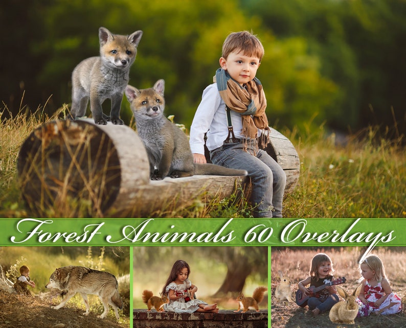 Forest animals overlay, wolf, rabbit, fox, hedgehog, squirrel, bear, bunny, Photoshop overlays, animal, png, overlay, overlays, DIGITAL image 1