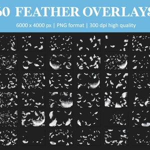 White feather overlays, falling feathers overlay, floating feathers, Photoshop overlays, feathers, overlays, transparent PNG, digital image 4