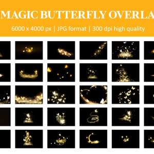 Sovrapposizioni di farfalle magiche, sovrapposizioni di farfalle luminose, polvere magica, farfalle dorate luminose, sovrapposizioni di farfalle magiche, sovrapposizioni di Photoshop immagine 4