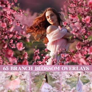 Blossom branch overlays, apple blossom overlay, painted flower, flowering tree branches, Flower Branches Overlays, Photoshop overlays imagem 1