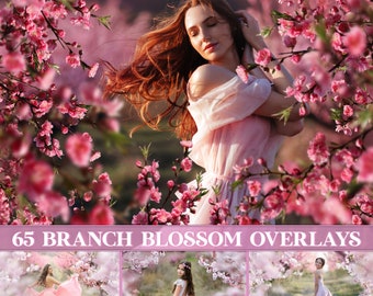 Blossom branch overlays, apple blossom overlay, painted flower, flowering tree branches, Flower Branches Overlays, Photoshop overlays