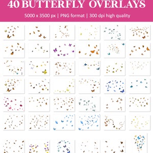 Butterfly overlays, monarch butterfly overlay, flying butterflies overlays, Photoshop overlays, transparent PNG, summer, spring, overlays image 5