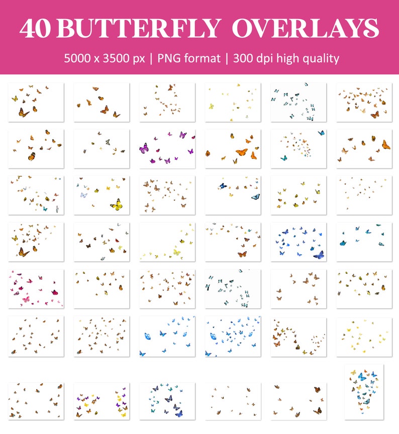 Butterfly overlays, monarch butterfly overlay, flying butterflies overlays, Photoshop overlays, transparent PNG, summer, spring, overlays image 5