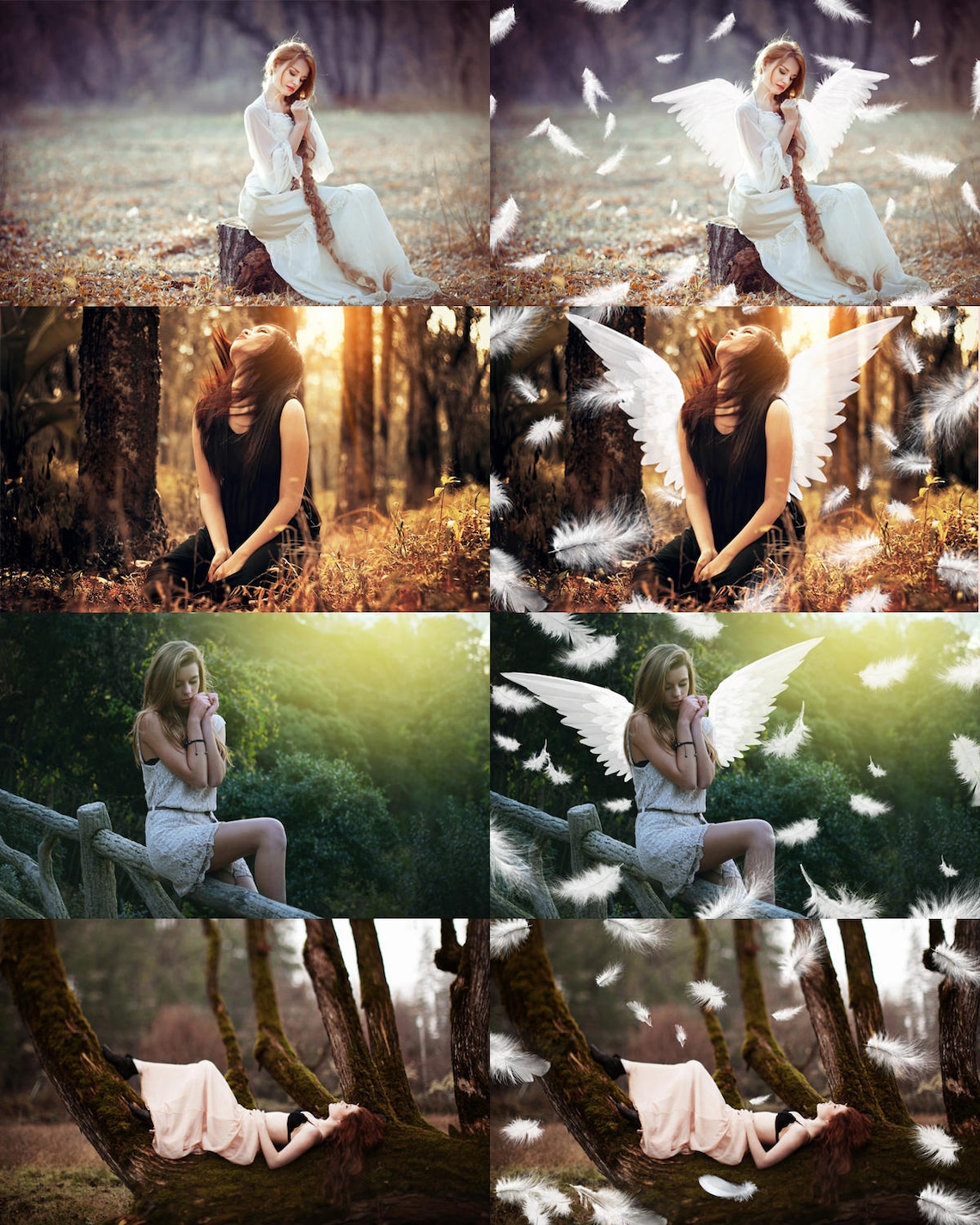 20 Feather overlays feather photo overlay feather photoshop image 1