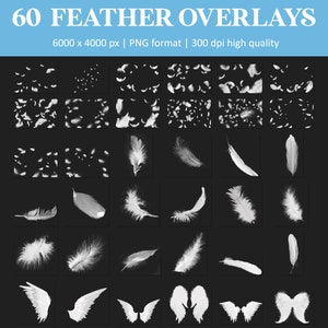 White feather overlays, falling feathers overlay, floating feathers, Photoshop overlays, feathers, overlays, transparent PNG, digital image 5