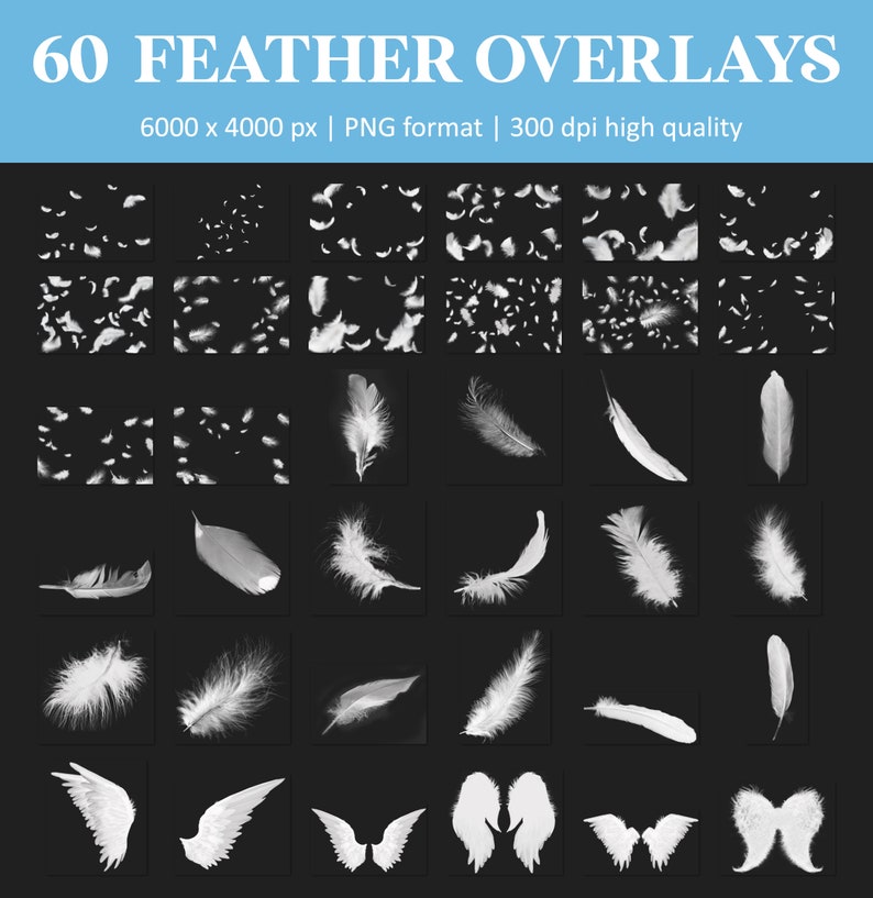 White feather overlays, falling feathers overlay, floating feathers, Photoshop overlays, feathers, overlays, transparent PNG, digital image 5