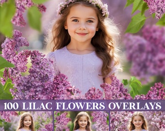 Lilac overlays, flower photo overlays, spring background, floral overlay, photography overlay, painted lilac overlays, blooming tree branch