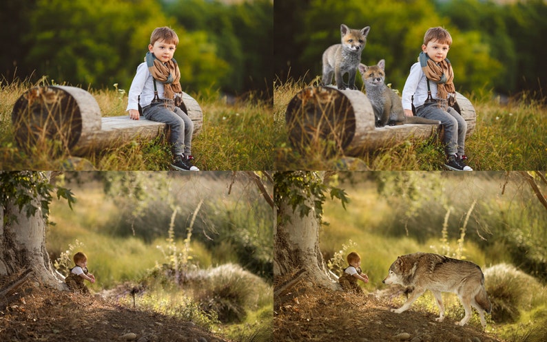Forest animals overlay, wolf, rabbit, fox, hedgehog, squirrel, bear, bunny, Photoshop overlays, animal, png, overlay, overlays, DIGITAL image 2