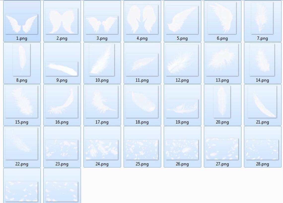 20 Feather overlays feather photo overlay feather photoshop image 2