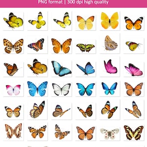 Butterfly overlays, monarch butterfly overlay, flying butterflies overlays, Photoshop overlays, transparent PNG, summer, spring, overlays image 6