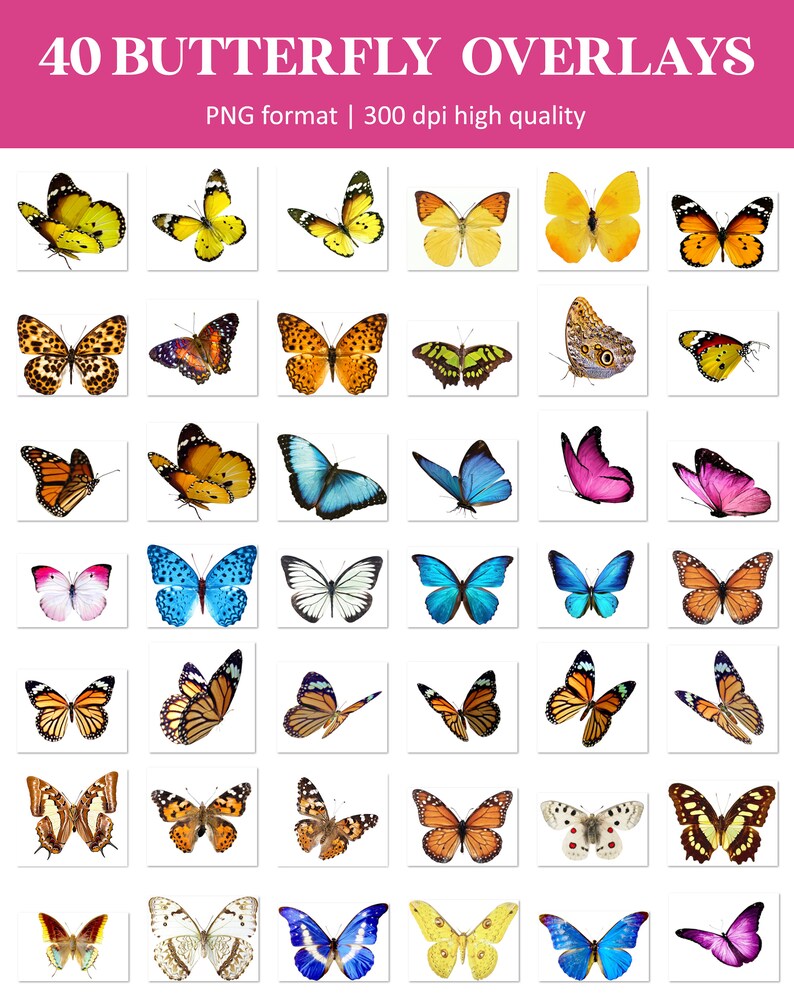 Butterfly overlays, monarch butterfly overlay, flying butterflies overlays, Photoshop overlays, transparent PNG, summer, spring, overlays image 6