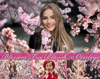 Blossom tree branch overlays, flowering trees, cherry, apple tree, blossom, overlay, Photoshop overlays, transparent PNG, Digital DOWNLOAD