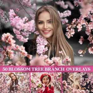 花の咲く木の枝のオーバーレイ、花の咲く木の枝、桜、リンゴの花、花の枝のオーバーレイ、Photoshop オーバーレイ、PNG