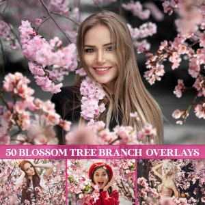 Blossom tree branch overlays, flowering tree branch, cherry blossom, apple blossom, blossom branch overlays, Photoshop overlays, PNG image 1