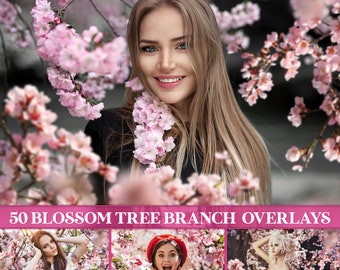 Blossom tree branch overlays, flowering tree branch, cherry blossom, apple blossom, blossom branch  overlays, Photoshop overlays, PNG