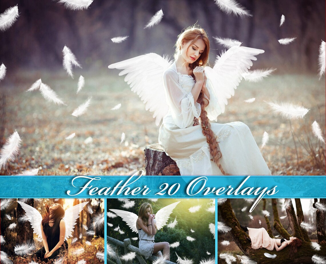 20 Feather overlays feather photo overlay feather photoshop image 0