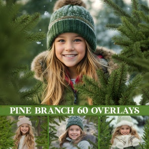 Pine branch overlays, Christmas tree overlays, winter branch overlays, pine tree overlays, fir branch overlays, branch png, transparent PNG