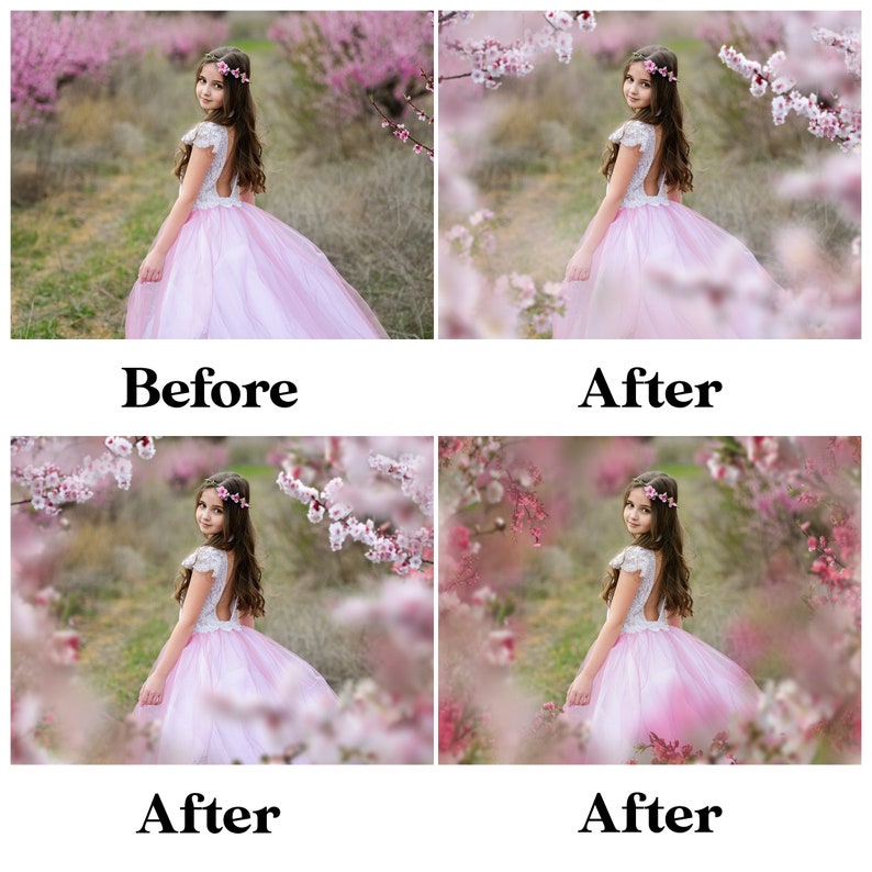 Blossom branch overlays, apple blossom overlay, painted flower, flowering tree branches, Flower Branches Overlays, Photoshop overlays 画像 3