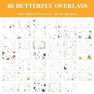 Schmetterling Overlay, fliegende Schmetterlinge Overlay, realistische Schmetterling Photoshop Overlays, transparentes PNG, Frühling, Sommer, Overlay, Overlays Bild 5