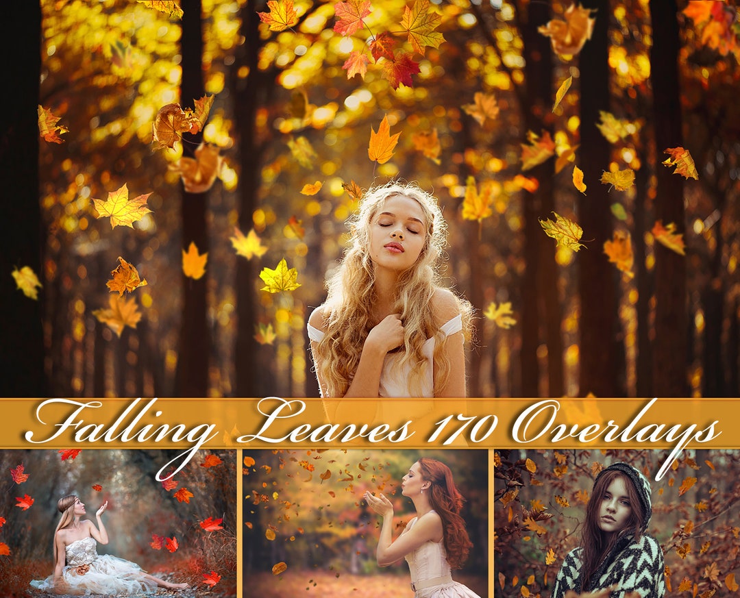 Autumn Leaves Overlay, Falling Leaves Overlay for Fall