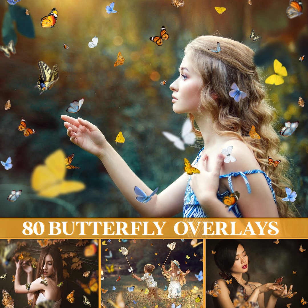Butterfly Overlay, Flying Butterflies Overlay, Realistic Butterfly