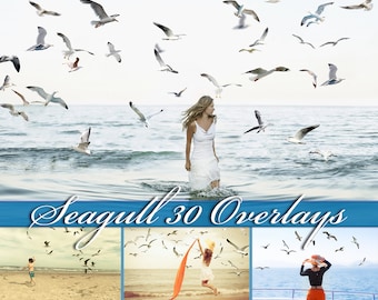 Realistic seagull overlays, flying birds, bird flock, photoshop overlays, flock, seagull, bird, overlay, summer, overlays, PNG, DOWNLOAD