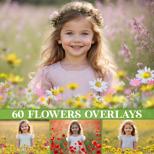 Flower overlays, flower meadow overlays, spring and summer flowering field, painted flower overlay, Photoshop overlays, wildflower overlays