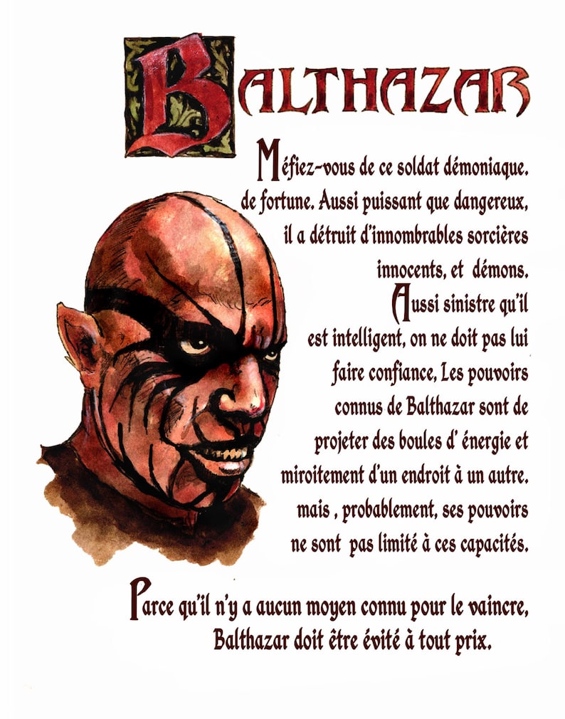 Livre des ombres Pages Version Français Etsy