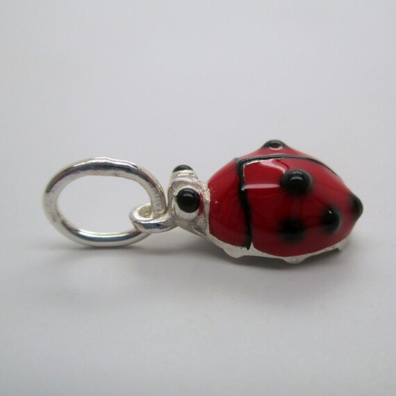 Lady Bug Charm main image 0