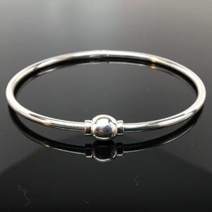 Sterling Silver Eternity Bangle Charm Bracelet Modern Brown County Silver New