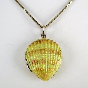 Sterlingzilveren medaillon met geschulpte schelp: emaille strandhanger