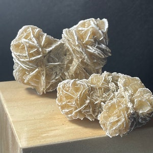 Frosted Selenite Desert Rose