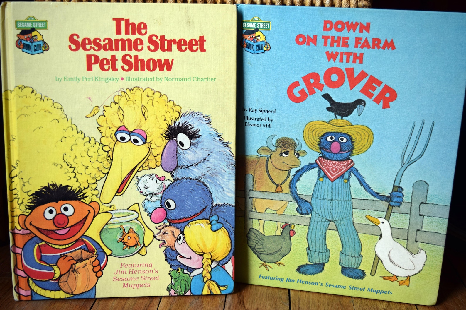 Collection of Sesame Street Book Club books/11 hardcover Etsy