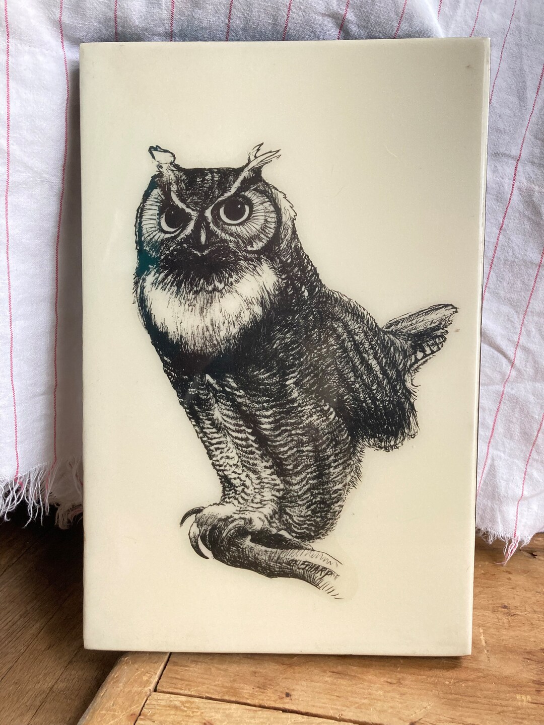 Vintage Owl Wall Decor/wall Hanging/great Horned Owl/black and White