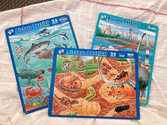 Amazon.com: CoscosX 3 Pcs Mini Signboard,Miniature Fairy