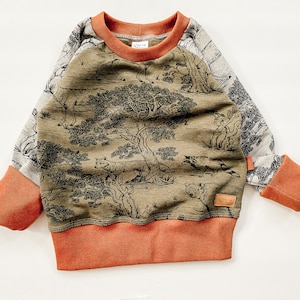 Organic kids shirt, animal sweatshirt, long sleeved shirt, boys shirt, organic toddler hoodie, grey sweatshirt